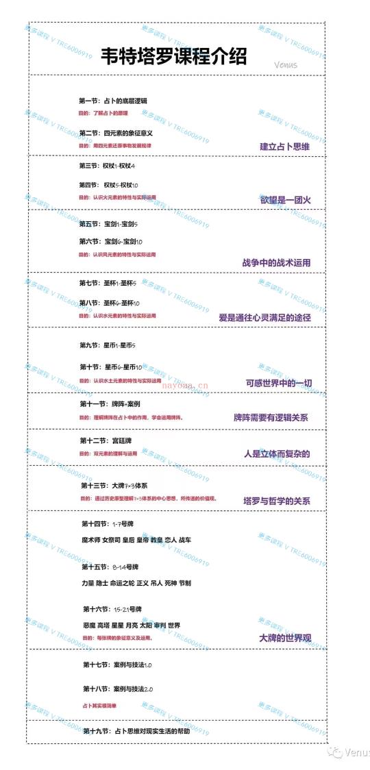 (塔罗课程)B站大up·Venus 塔罗系统课 视频课程