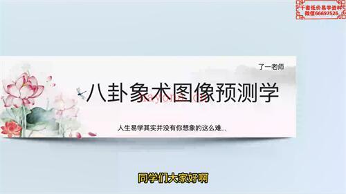 C243了一老师八卦象术图像预测学初阶+高阶视频69集