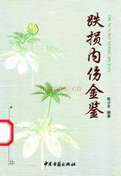 跌损内伤金鉴-陈少冬.pdf