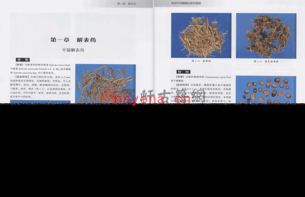 欧阳荣-《常用中药炮制品彩色图谱》(299单页)  