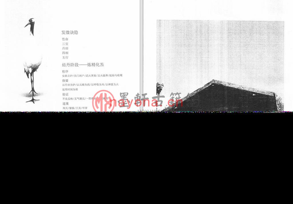 周亮-《中国丹道修证指归-鹤鸣林泉(上下册)》(2册)