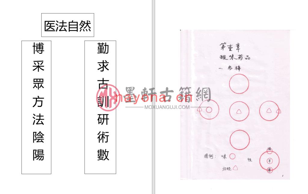 杨文星-《桂林古本伤寒论经方药穴统一图》(660单页)