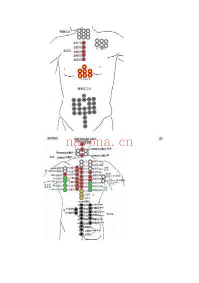 Tung董氏针灸穴位_五脏观点.pdf