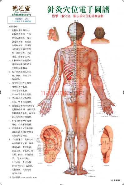 针灸穴位电子图谱.pdf