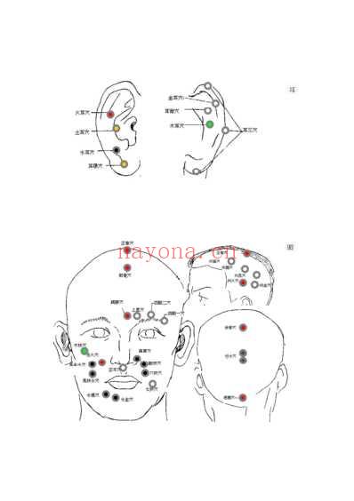 Tung董氏针灸穴位_五脏观点.pdf