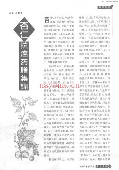 杏仁抗癌药膳集锦.pdf