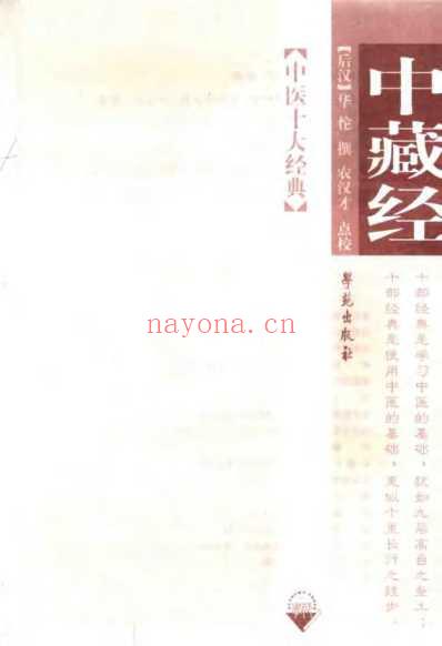 中藏经.pdf