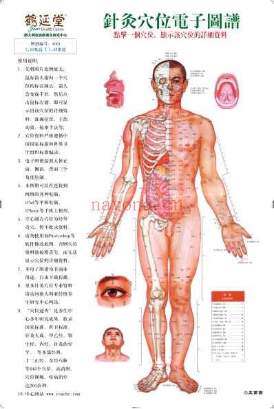 针灸穴位电子图谱.pdf