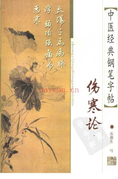 中医经典钢笔字帖-伤寒论.pdf