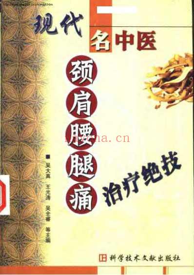 现代名中医-颈肩腰腿痛治疗绝技_吴大真等.pdf