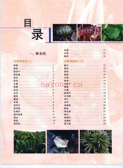 药用本草-_上卷.pdf