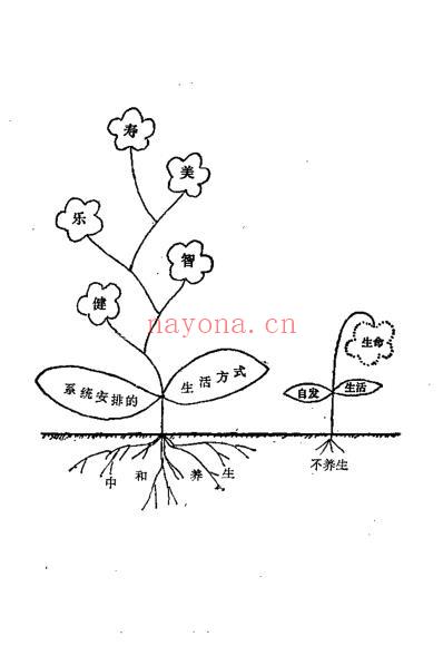 养生解惑当代养生争论热点剖析_宋为民.pdf