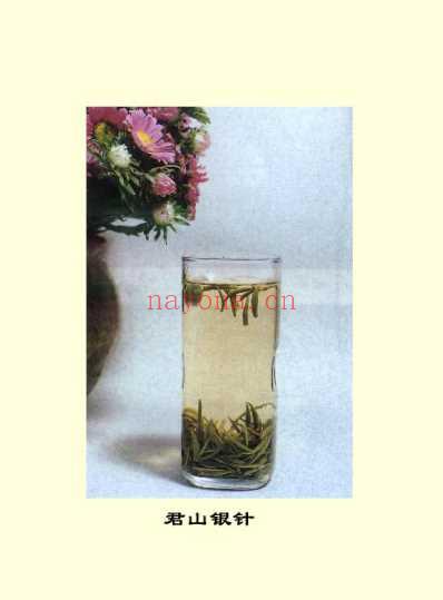 茶饮保健顾问.pdf