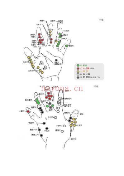 Tung董氏针灸穴位_五脏观点.pdf