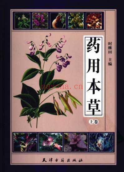 药用本草-_上卷.pdf