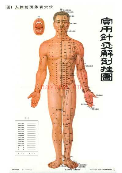 人体经络穴位图-针灸按摩必备.pdf