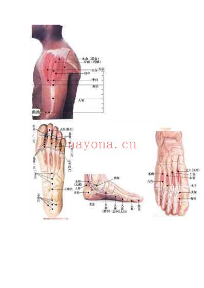 董氏针灸彩色穴位图最全收集.pdf