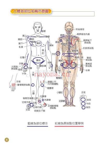 原始点疗法_手册.pdf