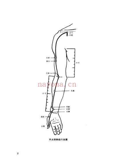 外敷中药治百病.pdf