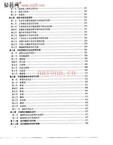 中医药烧伤治疗学_丁宝财.pdf