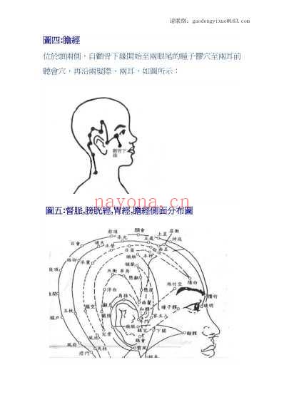 头痛按摩图论.pdf