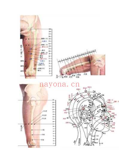 董氏针灸彩色穴位图最全收集.pdf