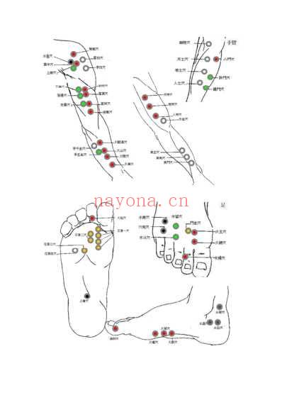 Tung董氏针灸穴位_五脏观点.pdf