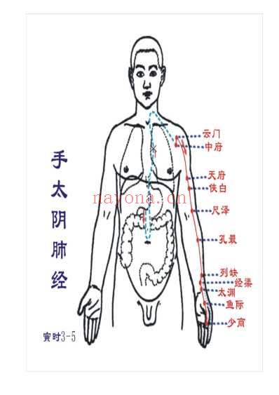 人体十四经脉图.pdf