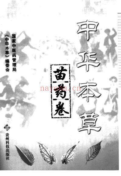 中华本草_苗药卷.pdf