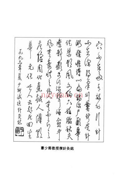 萧少卿针灸精髓.pdf