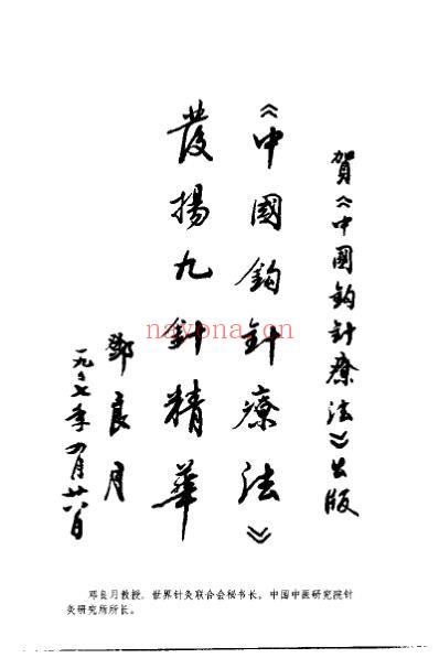 中国钩针疗法_杨楣良.pdf