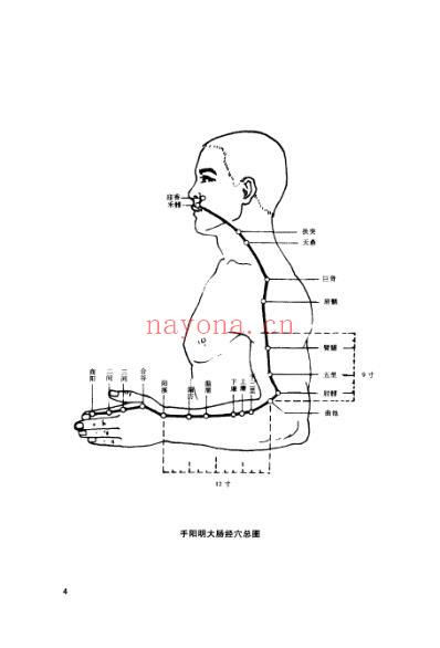 外敷中药治百病.pdf