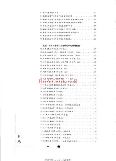 现代风湿性疾病-图谱.pdf