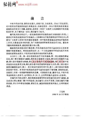 中医药烧伤治疗学_丁宝财.pdf