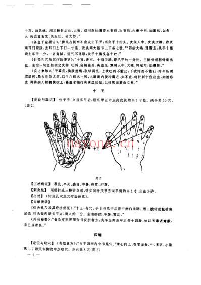 中国奇穴疗法_胡兴立.pdf