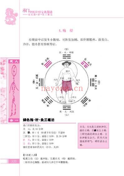 彩色中医针经宝典图谱_王占伟D-高清扫描-四海.pdf