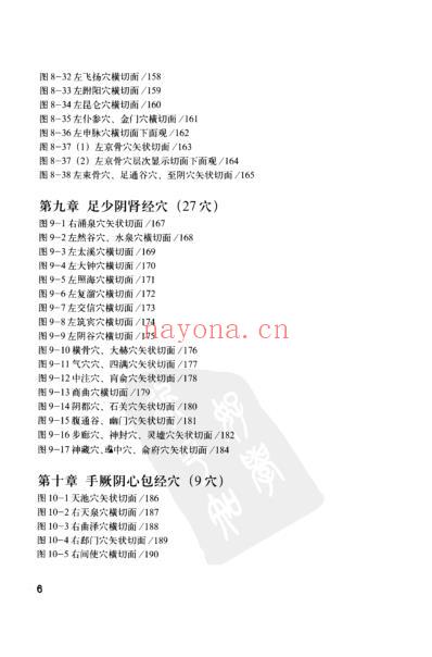 人体腧穴全真解剖图谱pdf.pdf