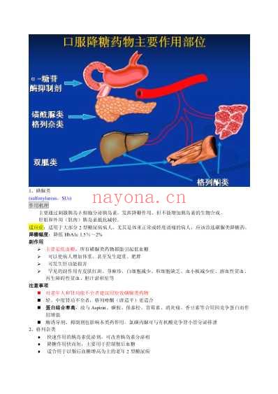 2型糖尿病药物治疗.pdf