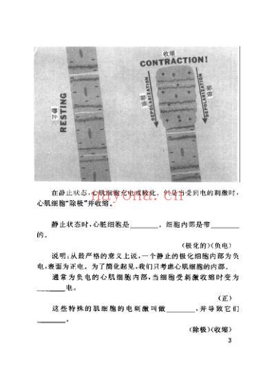 心电图图解速成讲授.pdf