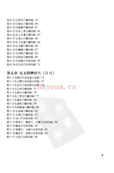 人体腧穴全真解剖图谱pdf.pdf