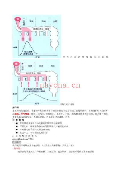 2型糖尿病药物治疗.pdf