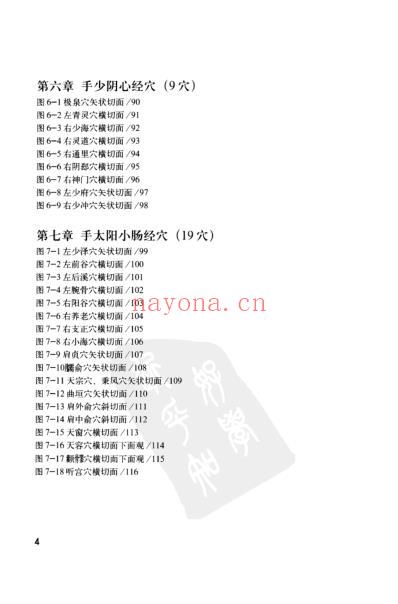 人体腧穴全真解剖图谱pdf.pdf