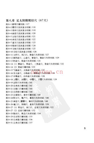 人体腧穴全真解剖图谱pdf.pdf