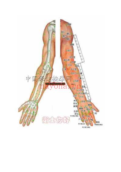 人体穴位脉络大全图解.pdf