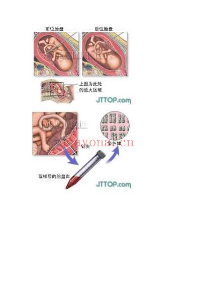 最全高清人体解剖图_彩图版.pdf