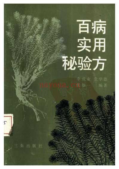 百病实用秘验方.pdf