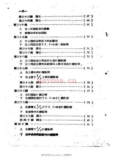 外科解剖图谱.pdf