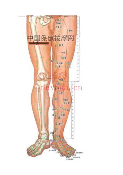 人体穴位脉络大全图解.pdf