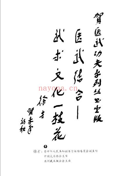 功夫整脊_张大勇.pdf