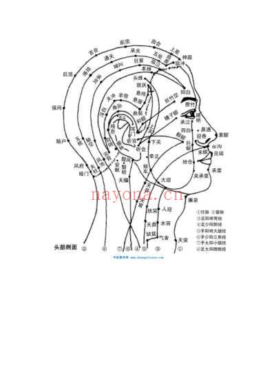 人体穴位脉络大全图解.pdf